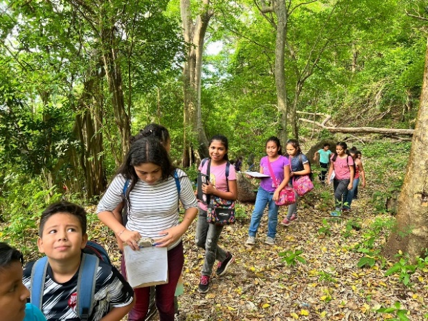 Niños en una caminata ecológica por el bosque