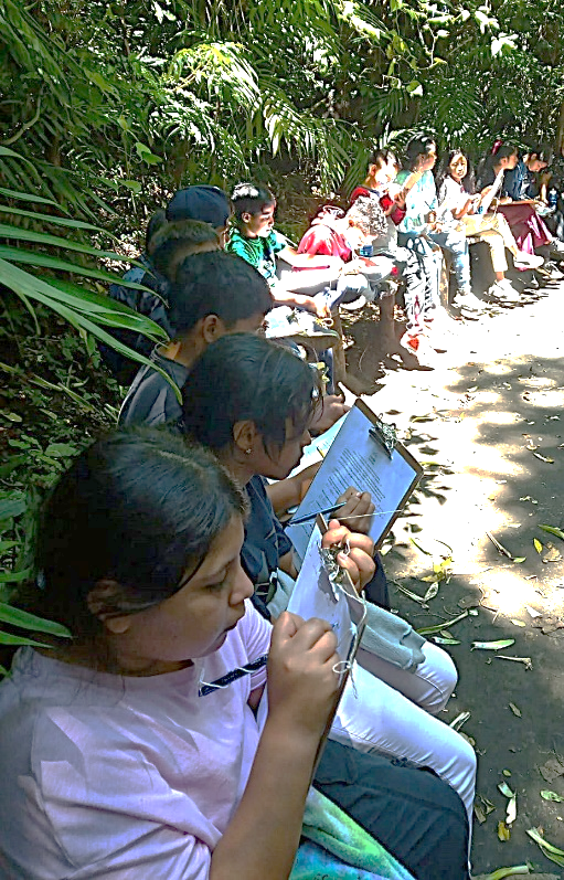Niños y jóvenes en una actividad educativa al aire libre