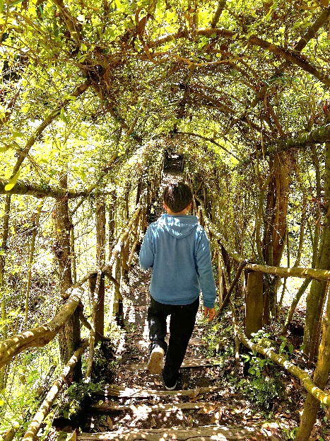 Joven caminando por un sendero natural
